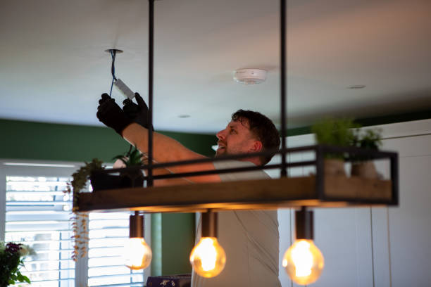 Best 24-Hour Electrician  in Nephi, UT